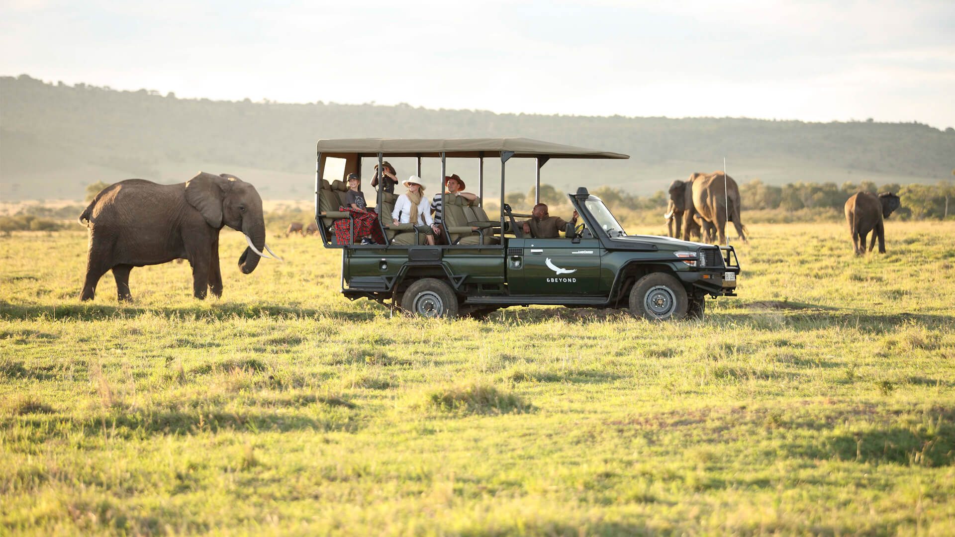 Incentive guests on a Maasai Mara game drive with elephants