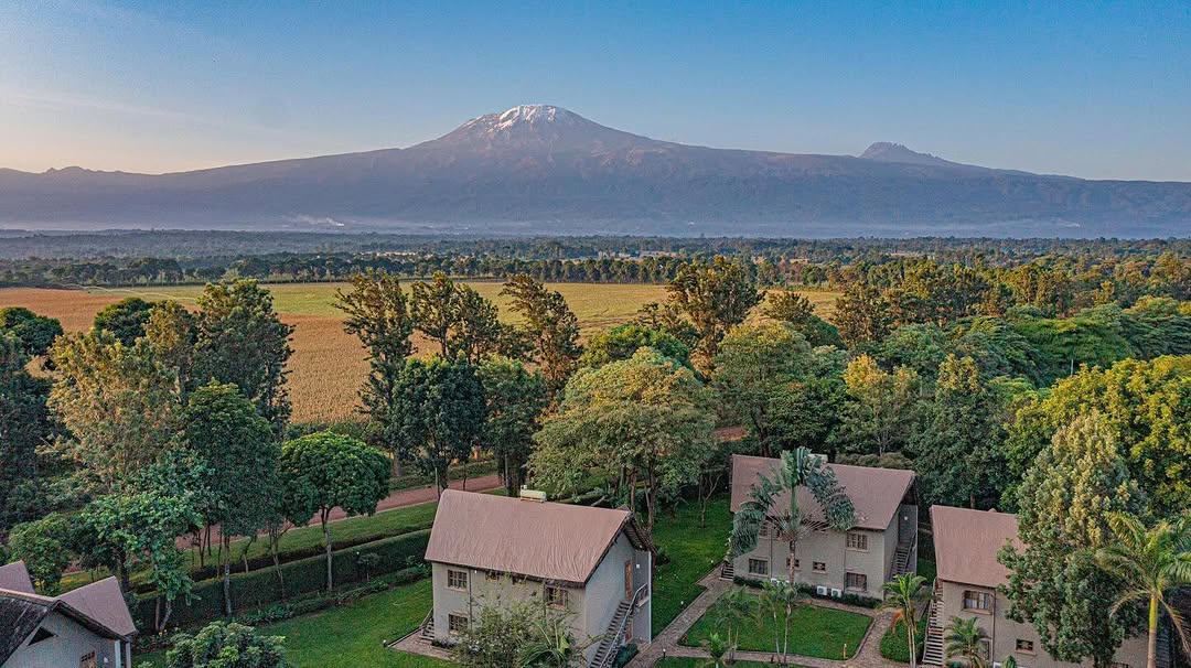 Mount Kilimanjaro above Moshi lodges and coffee country