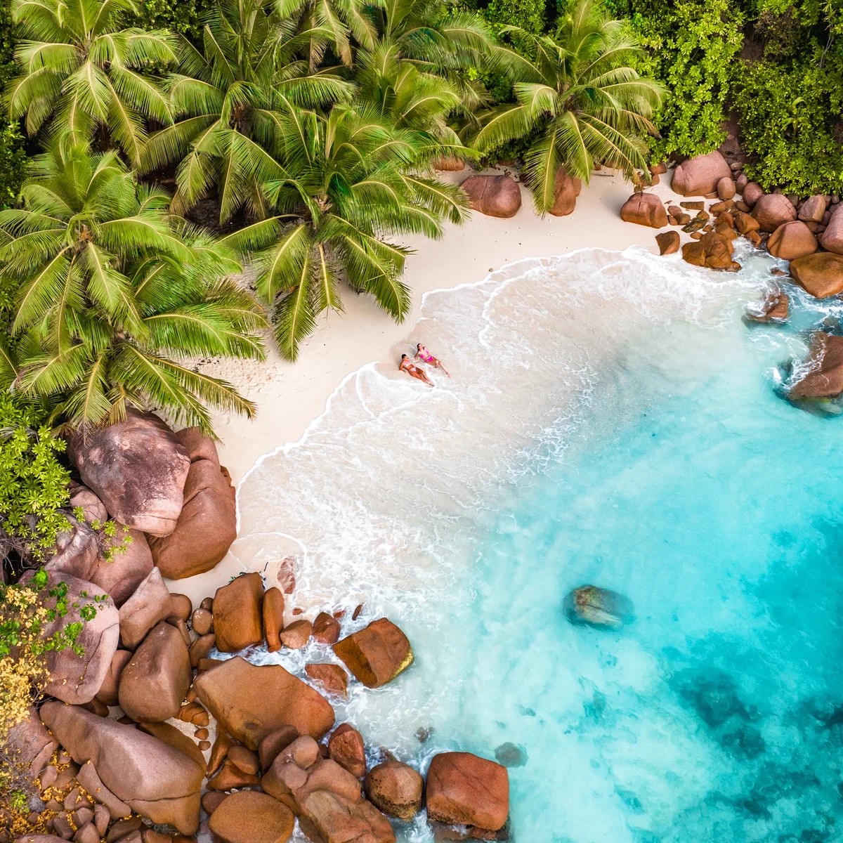 Aerial view of a granite cove, palms and turquoise water in the Seychelles