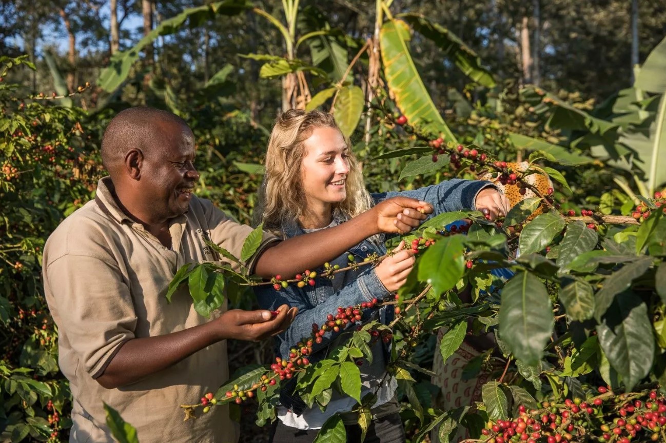 Arusha Coffee Lodge — estate and city mornings for meeting groups