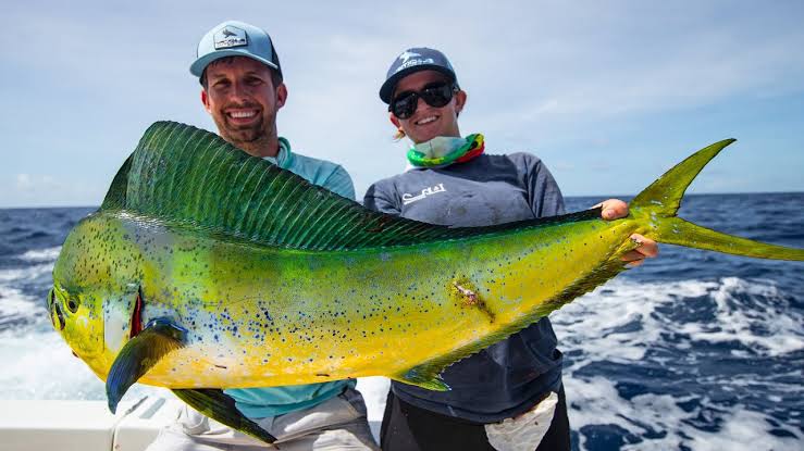 East-coast Zanzibar — deep-sea fishing charter water