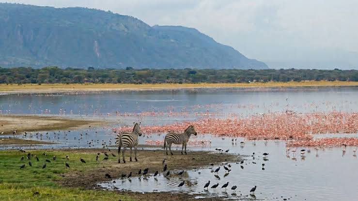 Ngorongoro–Manyara escarpment — Rift incentive geography