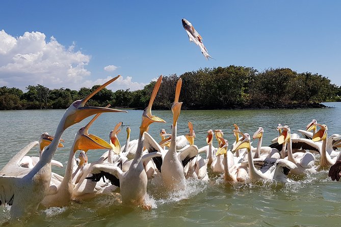 Ethiopian highlands and water — Lake Tana and Blue Nile chapter