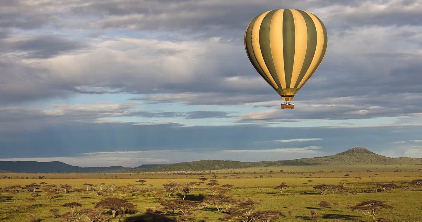 Open safari vehicle with guests viewing elephants in the Maasai Mara