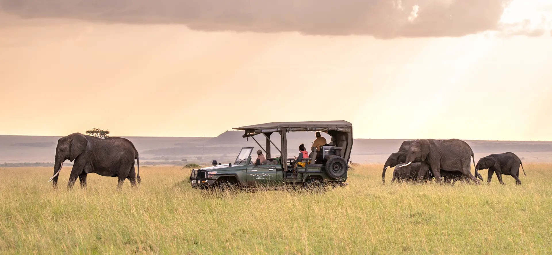 Private bush picnic on the Maasai Mara savanna