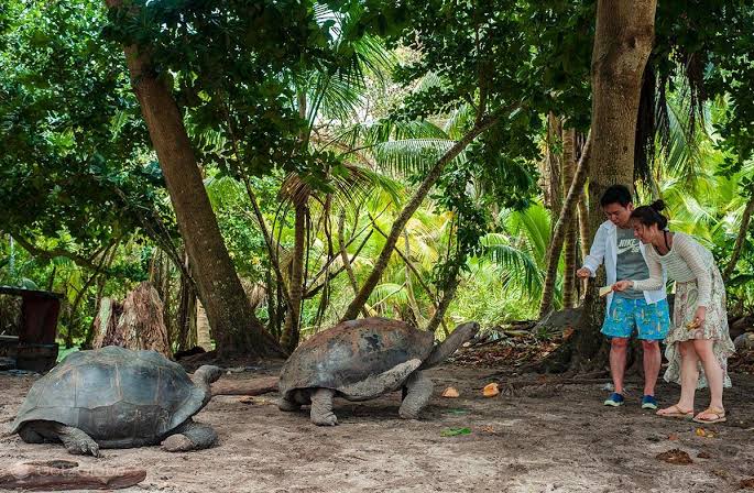 Fregate Island — giant tortoise habitat for conservation-led Seychelles incentives