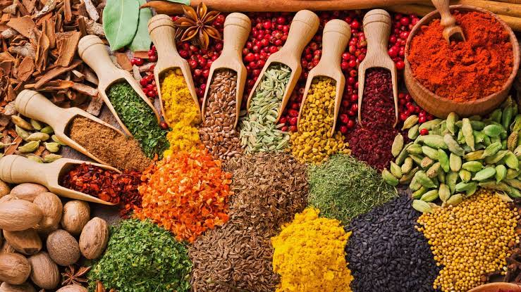 Zanzibar spice country — private farm tours for corporate groups