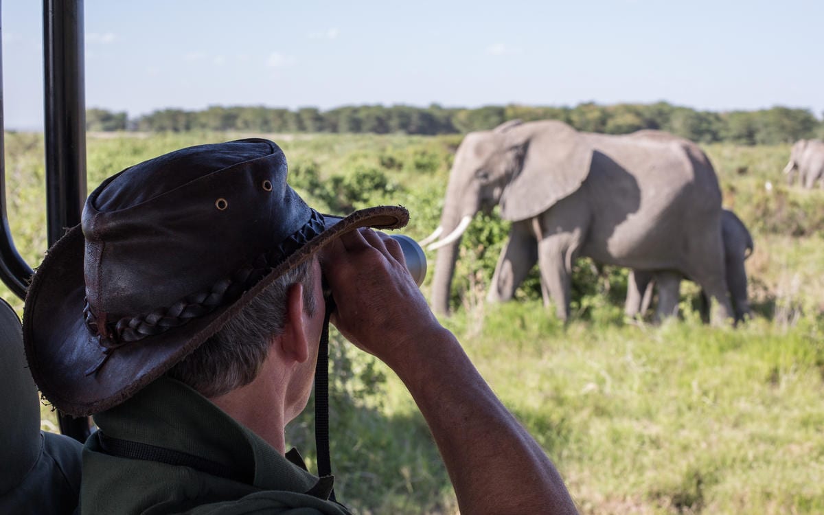 Amboseli camp country before a light-aircraft hop to the Maasai Mara