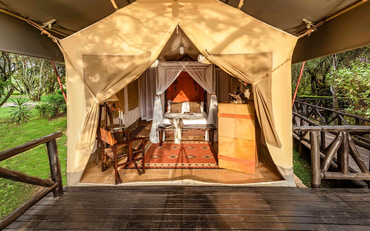 Fairmont Mara Safari Club, Mara North Conservancy, banks of the Mara River
