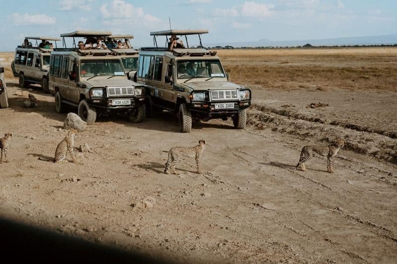 Experiences — Amboseli Serena Safari Lodge