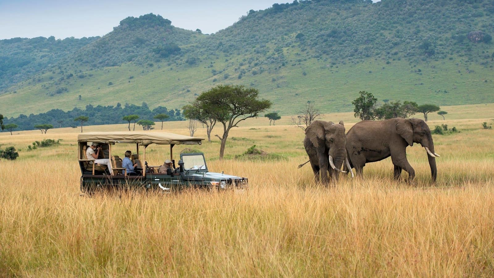 Experiences — &Beyond Bateleur Camp