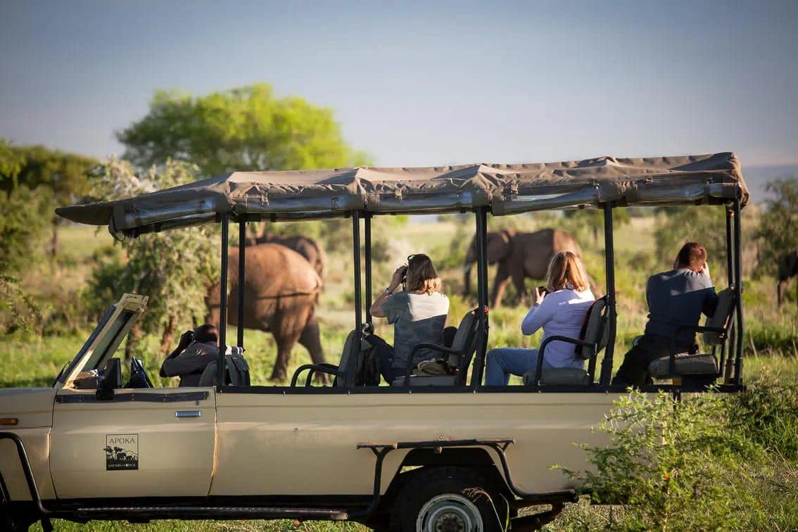 Experiences — Apoka Safari Lodge