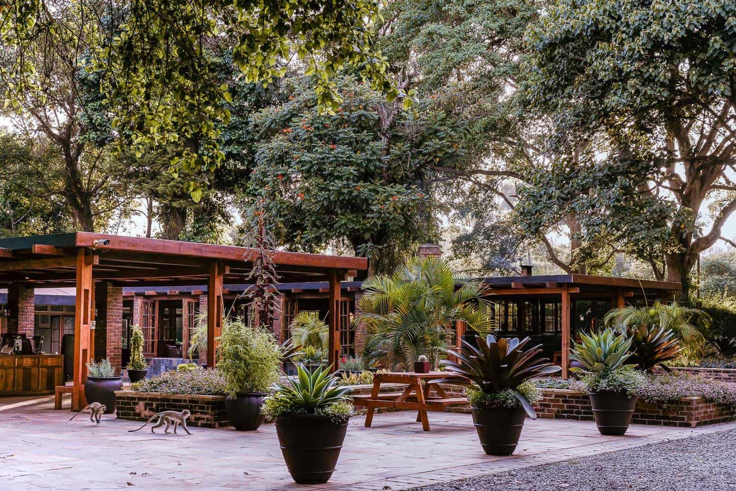 Main area — Arusha Coffee Lodge