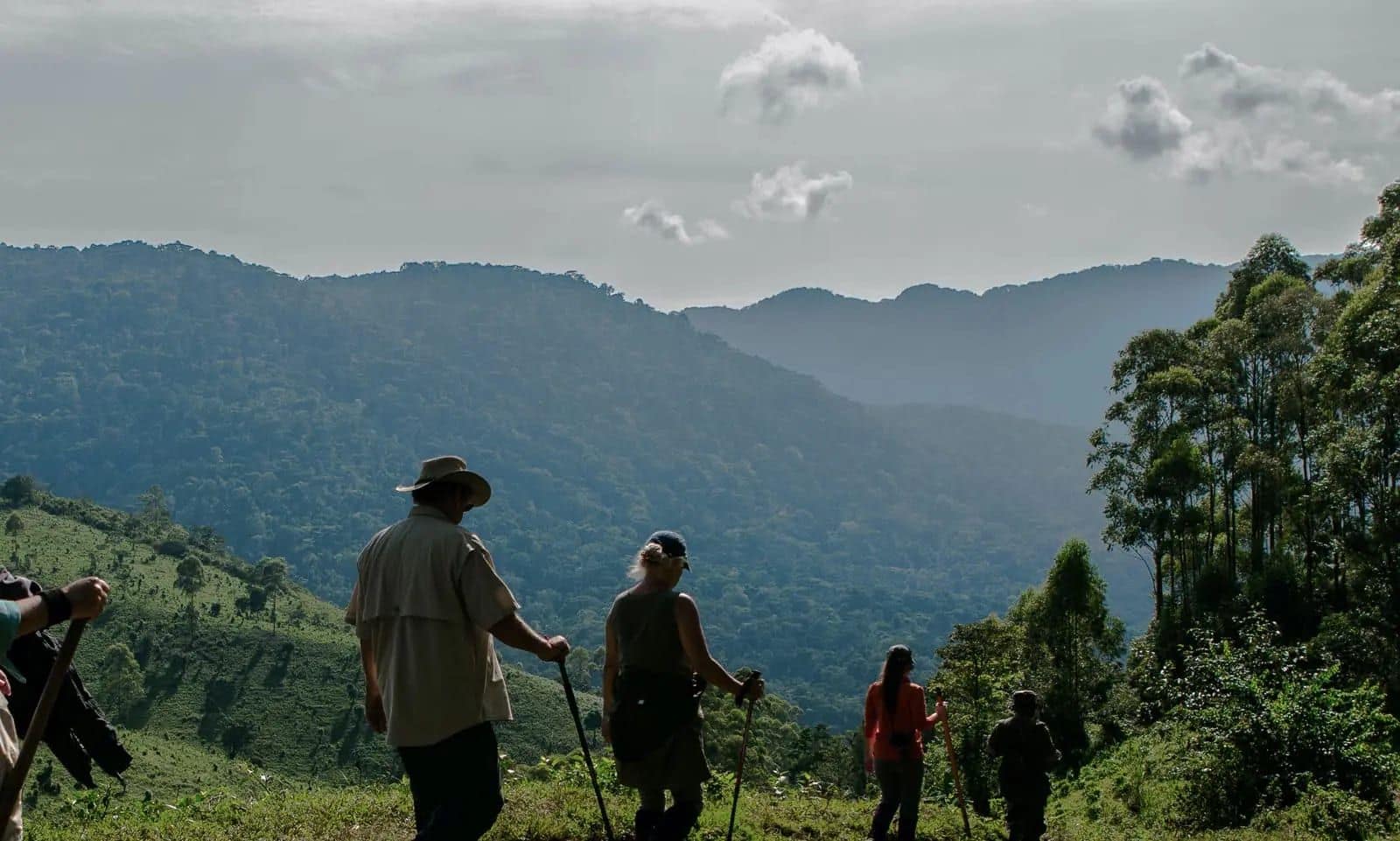 Experiences — Clouds Mountain Gorilla Lodge