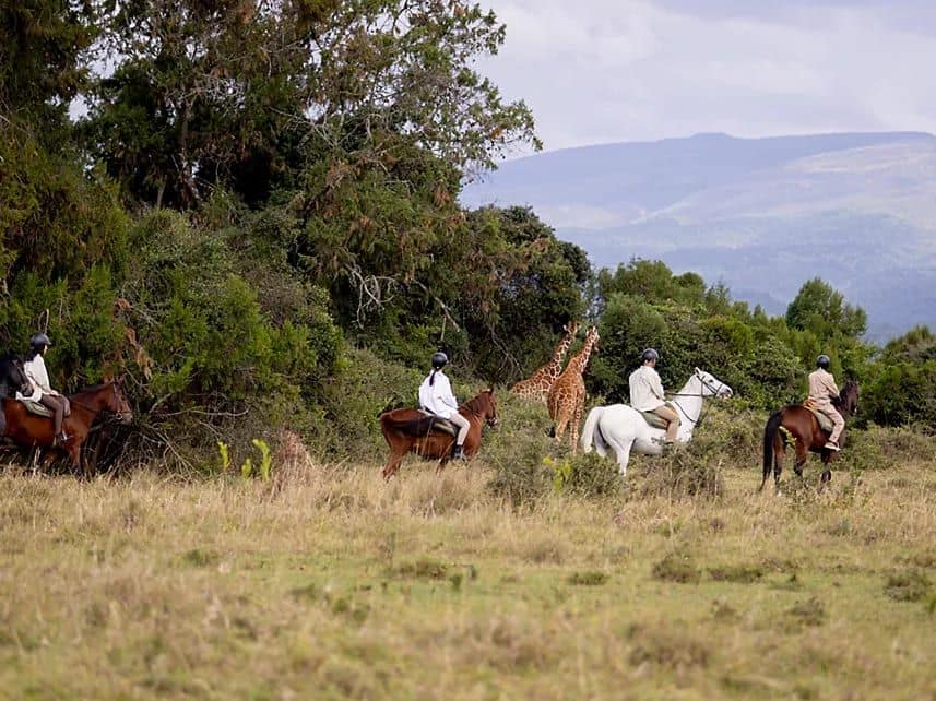 Experiences — Fairmont Mount Kenya Safari Club