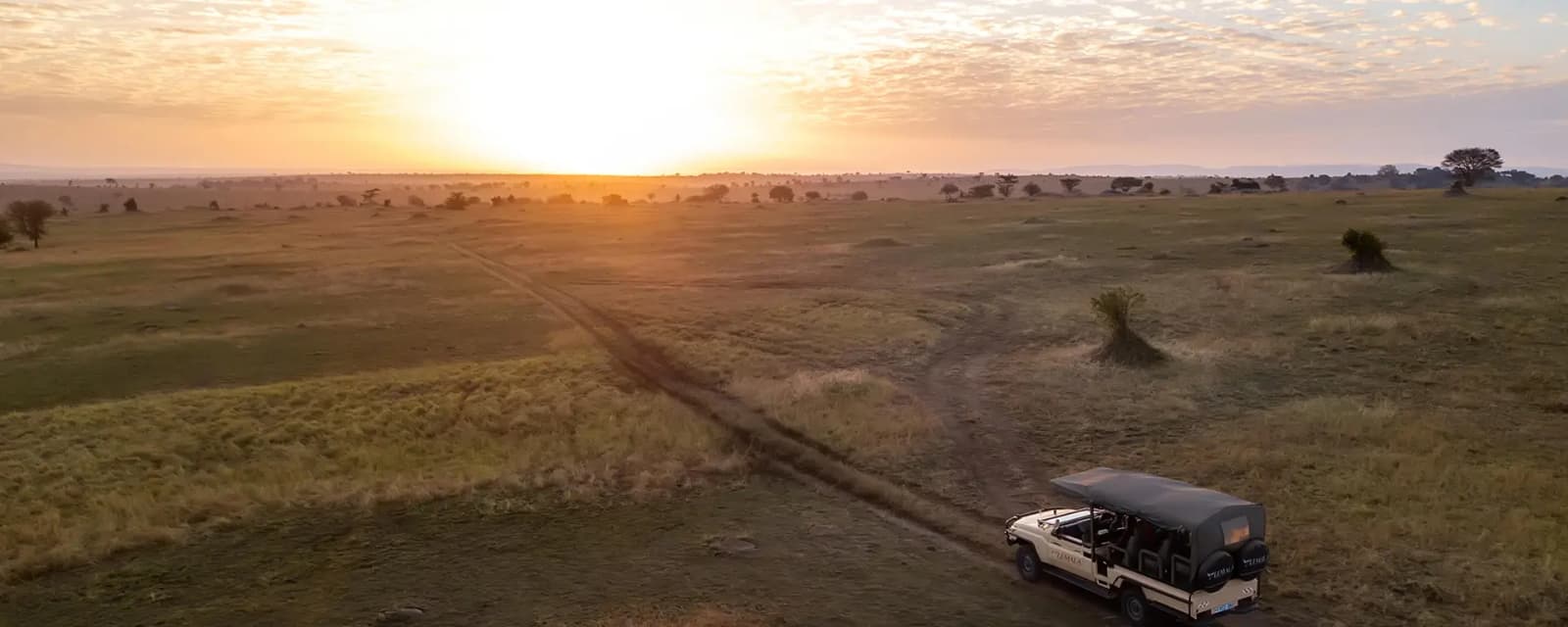 Overview — Lemala Mpingo Ridge