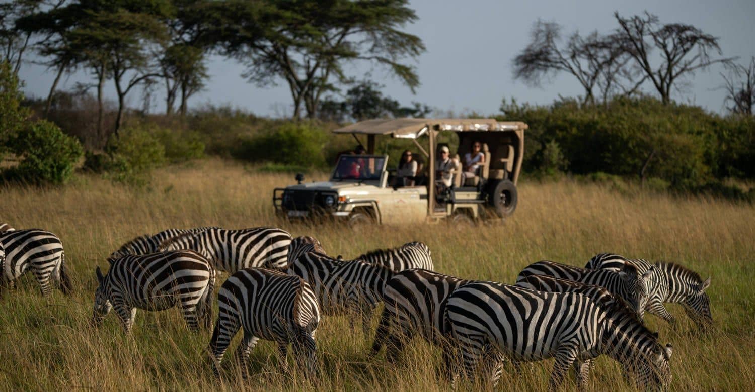 Experiences — Mahali Mzuri