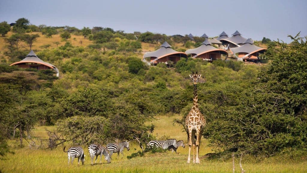Overview — Mahali Mzuri