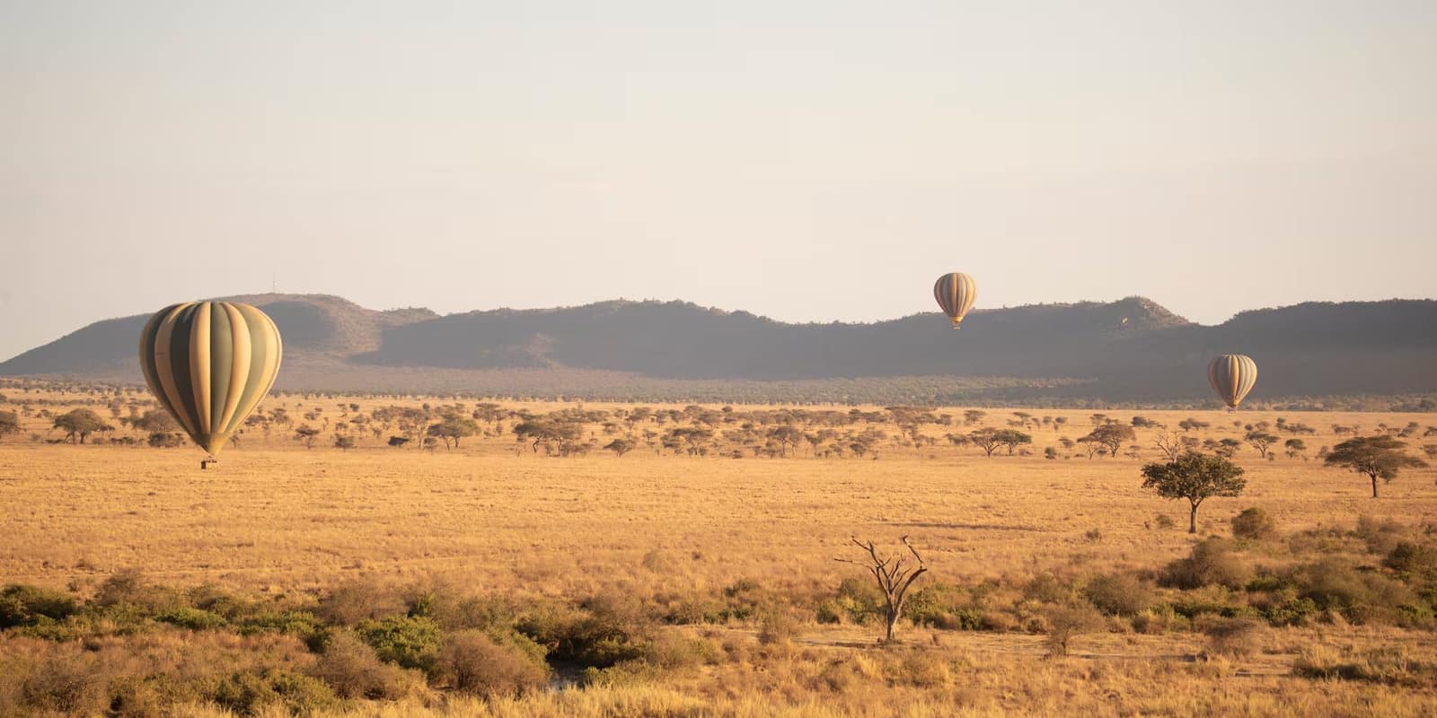 Experiences — Meliá Serengeti Lodge