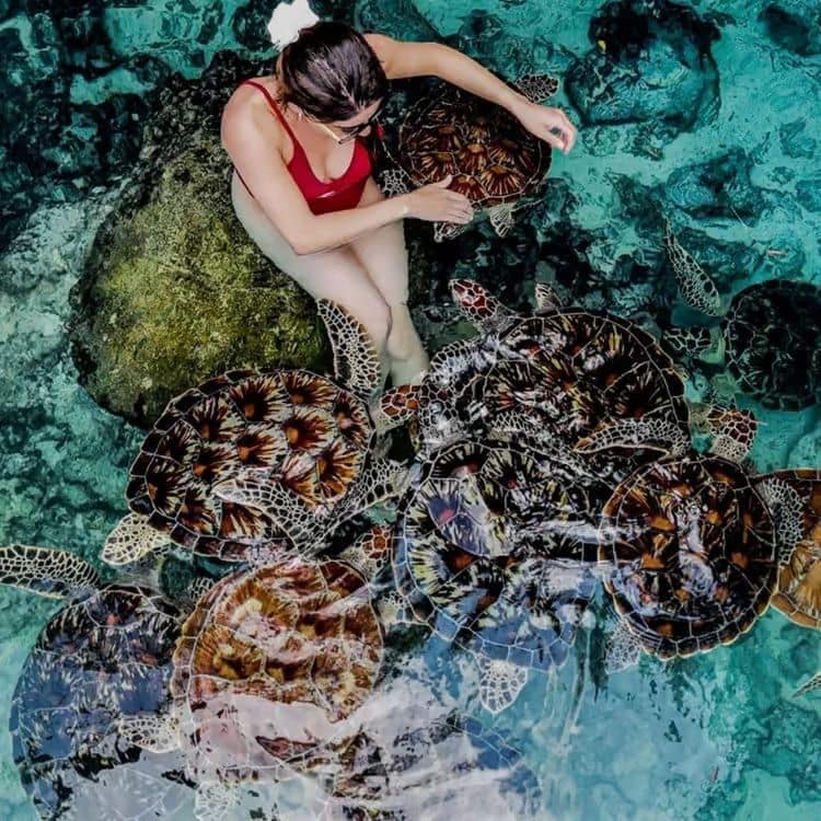 Experiences — Meliá Zanzibar