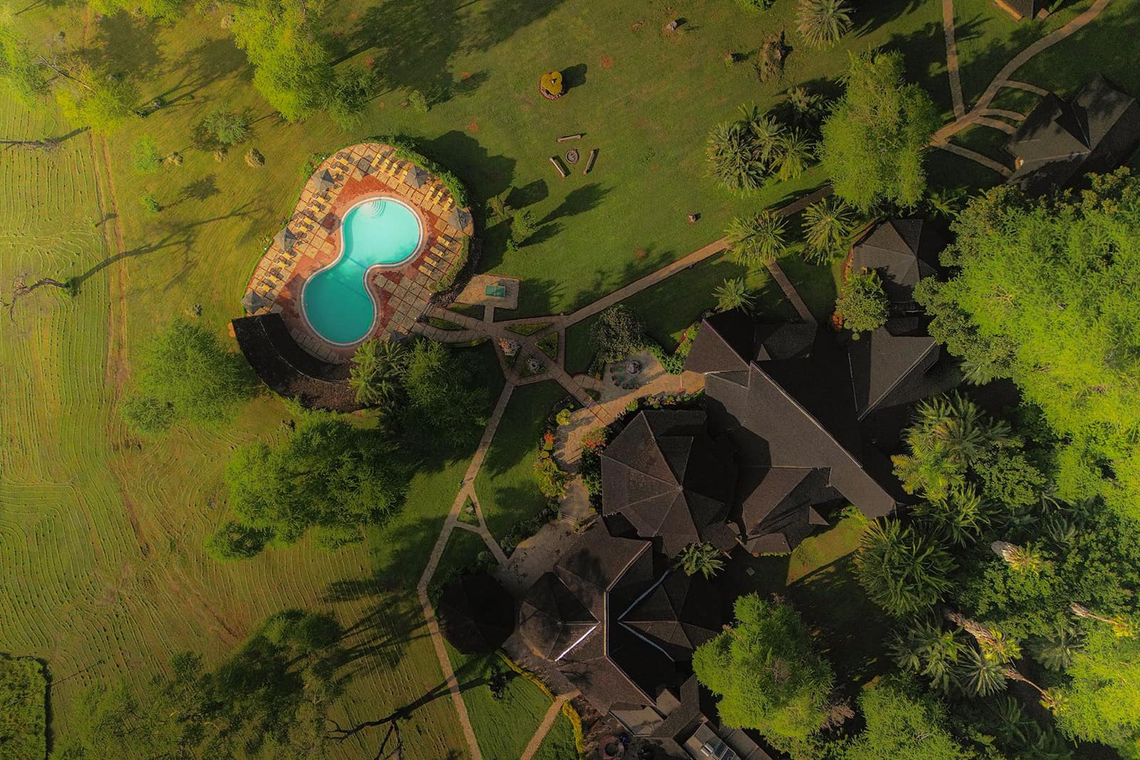 Pool — Ol Tukai Lodge