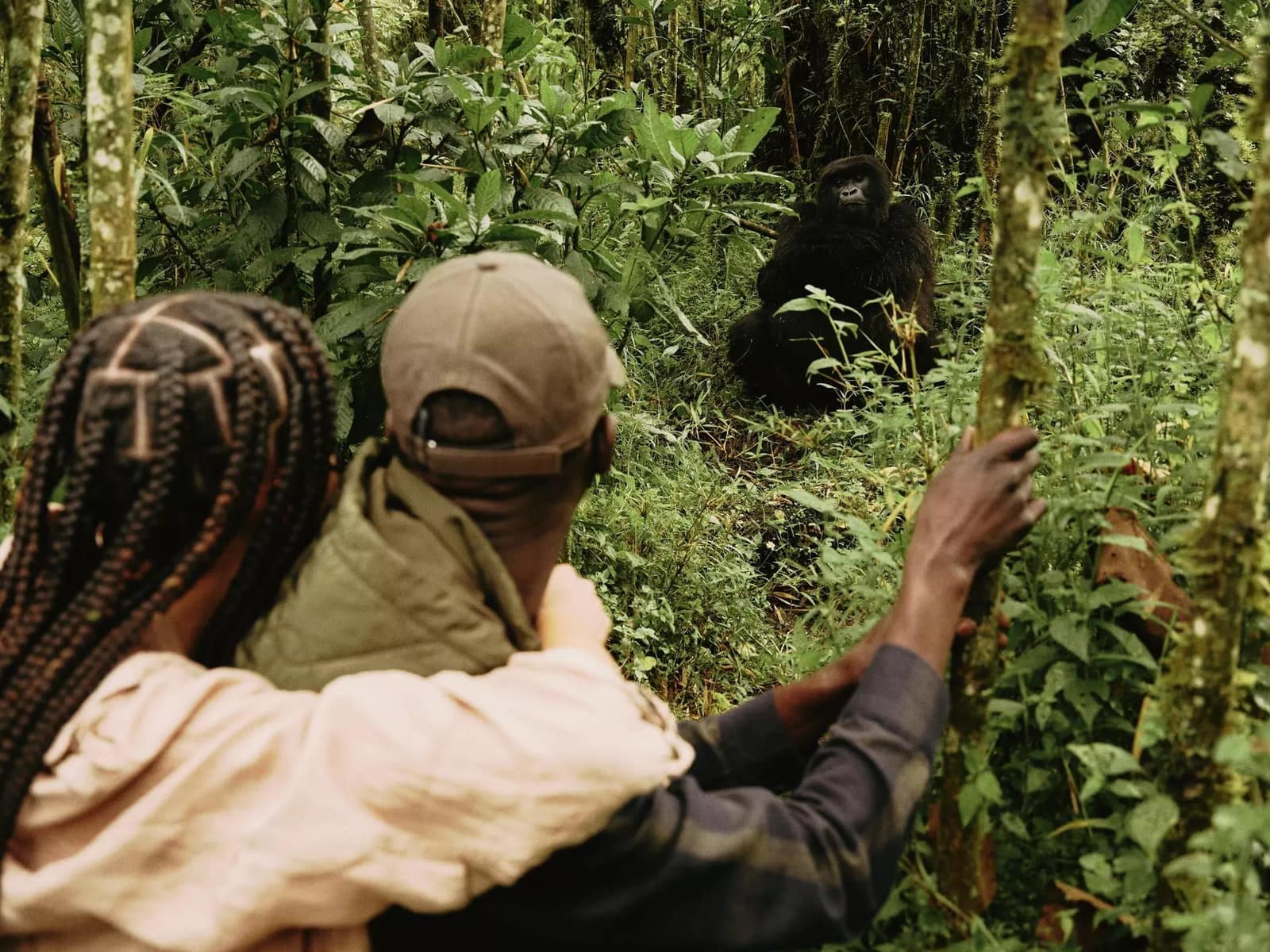 Experiences — One&Only Gorilla’s Nest