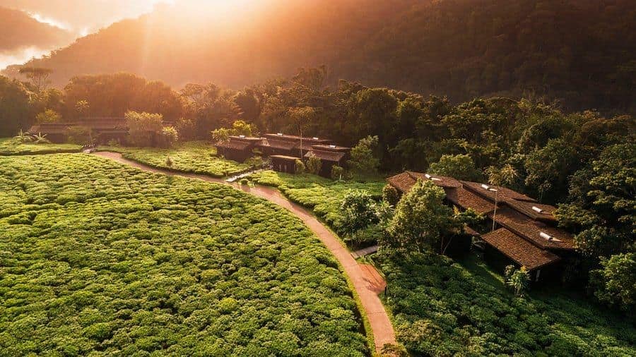 Overview — One&Only Nyungwe House