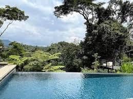Pool — One&Only Nyungwe House