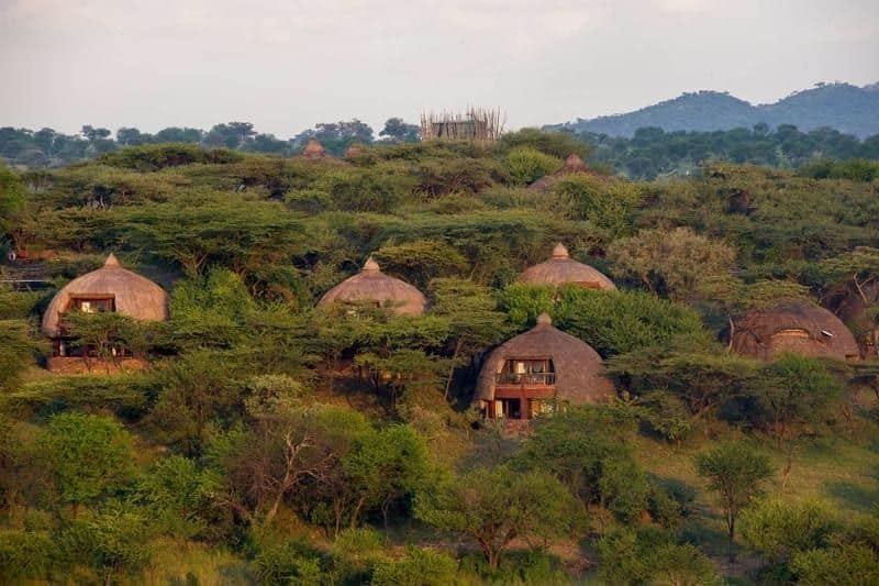 Overview — Serengeti Serena Safari Lodge