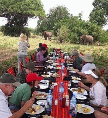 Experiences — Tarangire Treetops by Elewana Collection