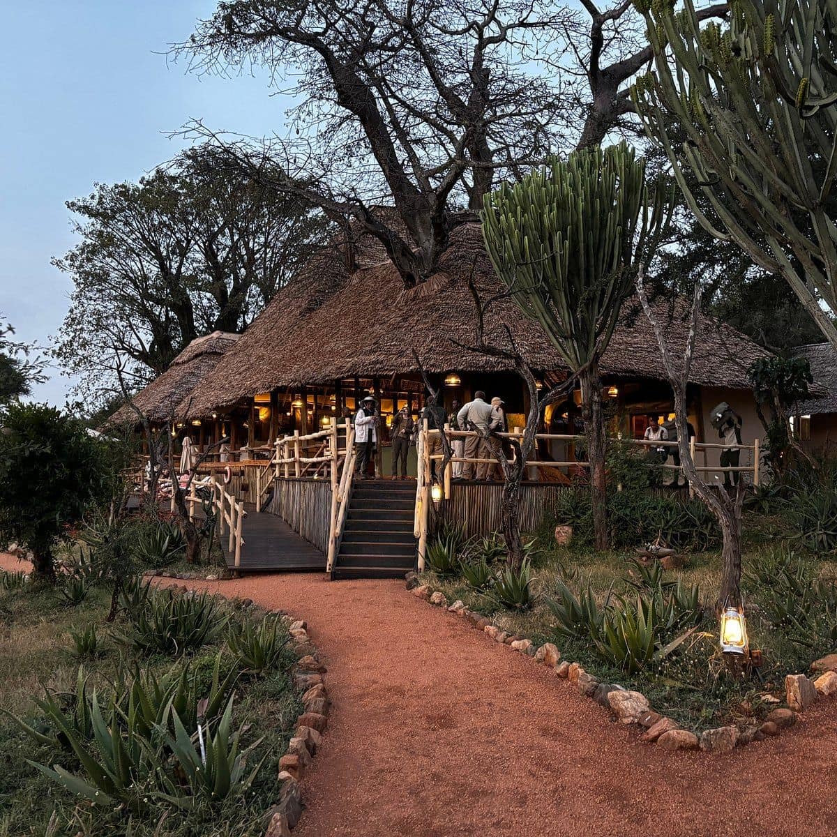 Overview — Tarangire Treetops by Elewana Collection