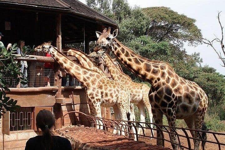 Experiences — Villa Rosa Kempinski Nairobi