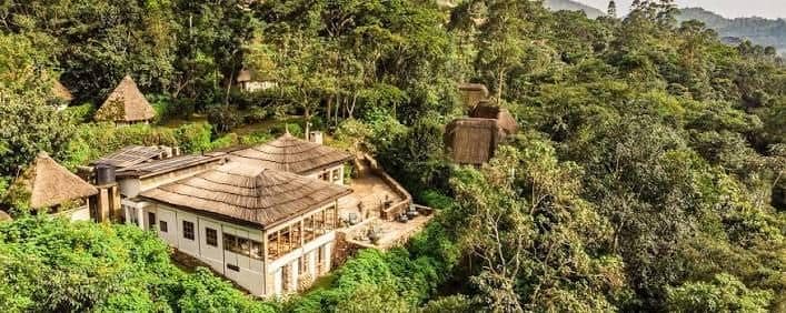 Overview — Volcanoes Safaris Bwindi Lodge