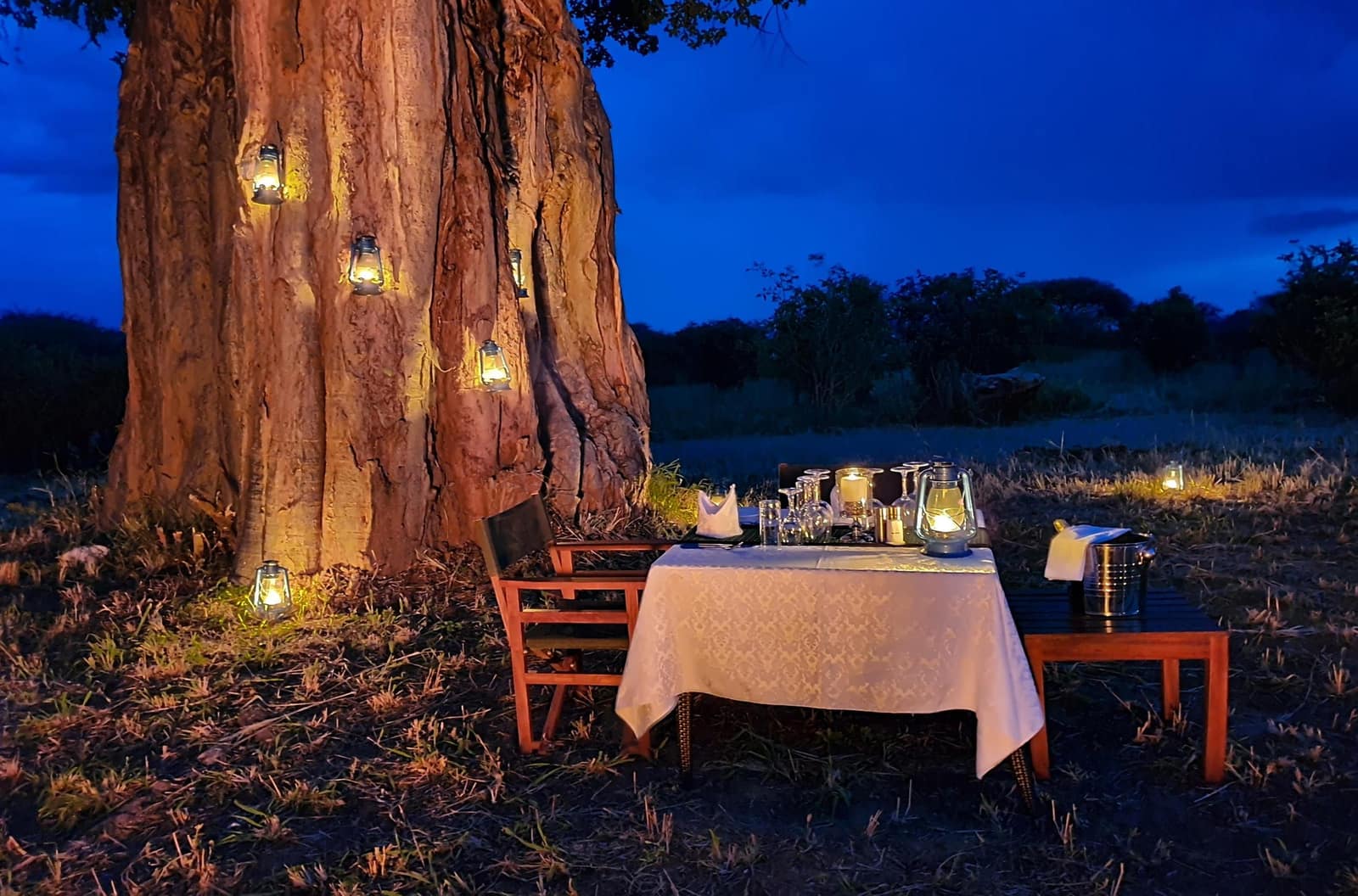 Experiences — Wellworth Tarangire Kuro Treetops Lodge