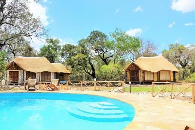 Pool — Wellworth Tarangire Kuro Treetops Lodge