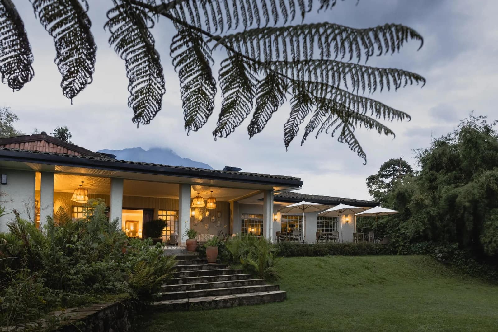 Overview — Wilderness Sabyinyo Silverback Lodge