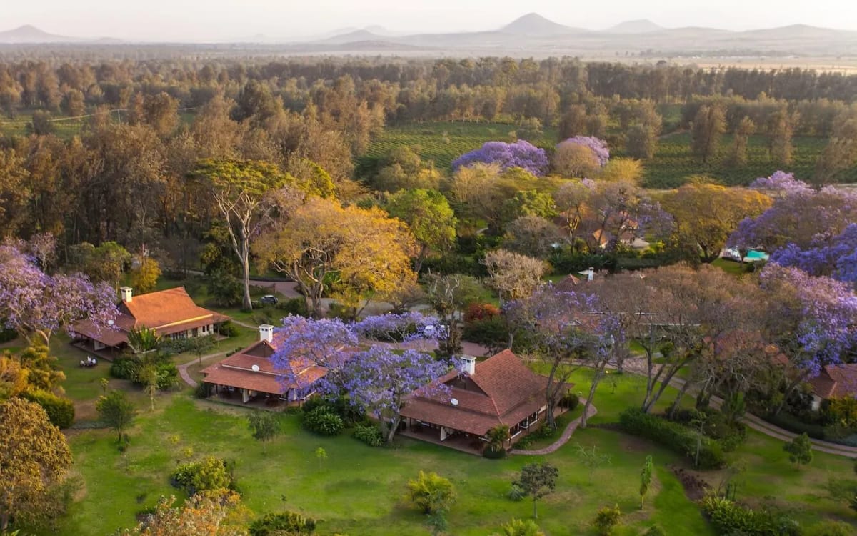 Legendary Lodge, Coffee estate on the outskirts of Arusha, Mount Meru foothills