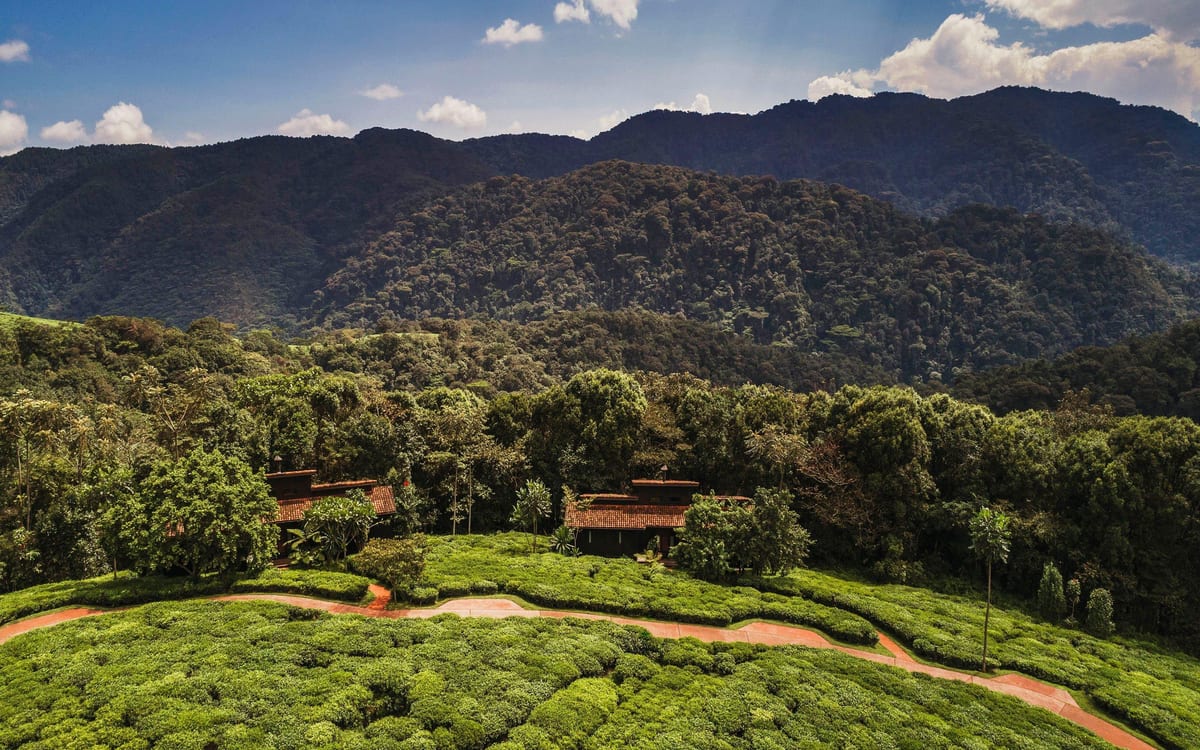 One&Only Nyungwe House, Nyungwe National Park