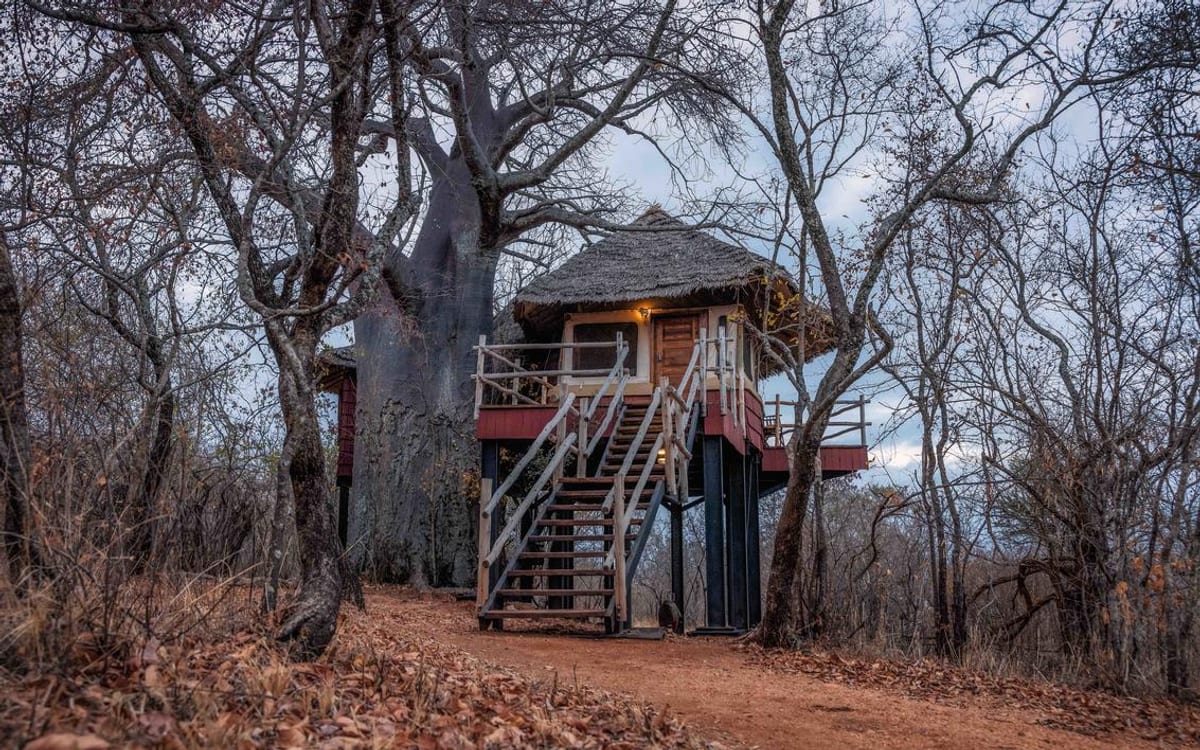 Tarangire Treetops by Elewana Collection, Randilen Wildlife Management Area, bordering Tarangire National Park